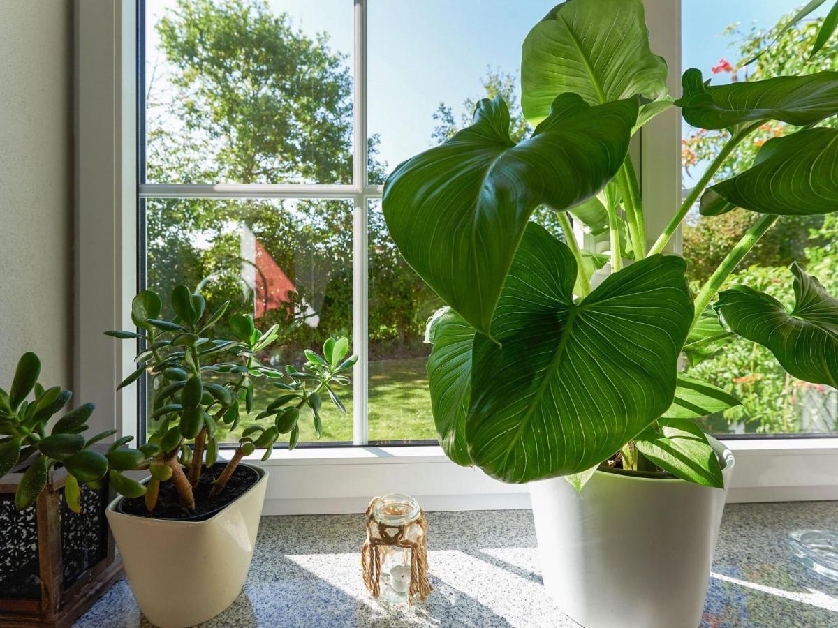 Zandt Nice Flat With Sauna Covered Terrace Garden And Tree House For Children מראה חיצוני תמונה